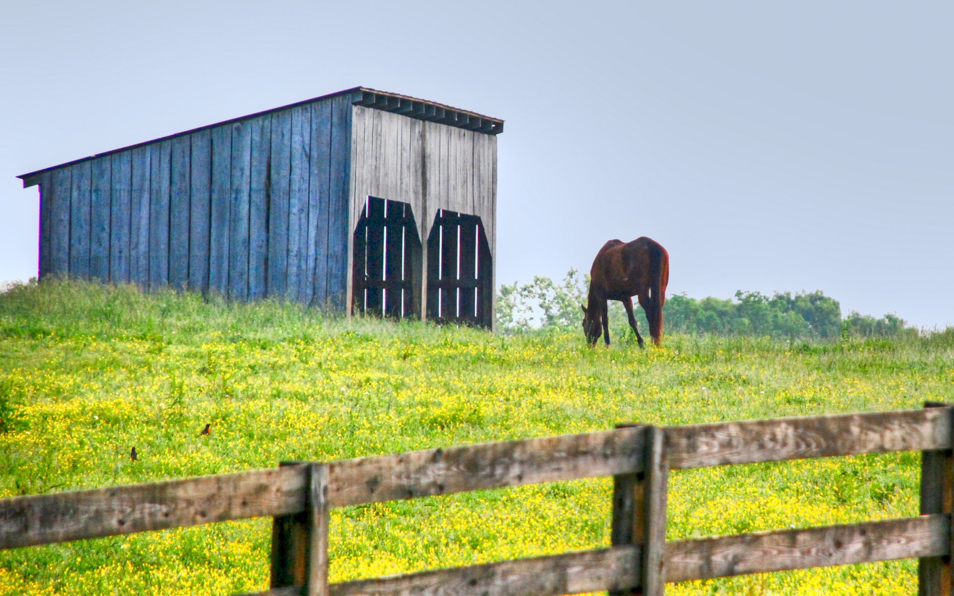East Tennessee residence with acreage and equestrian infrastructure