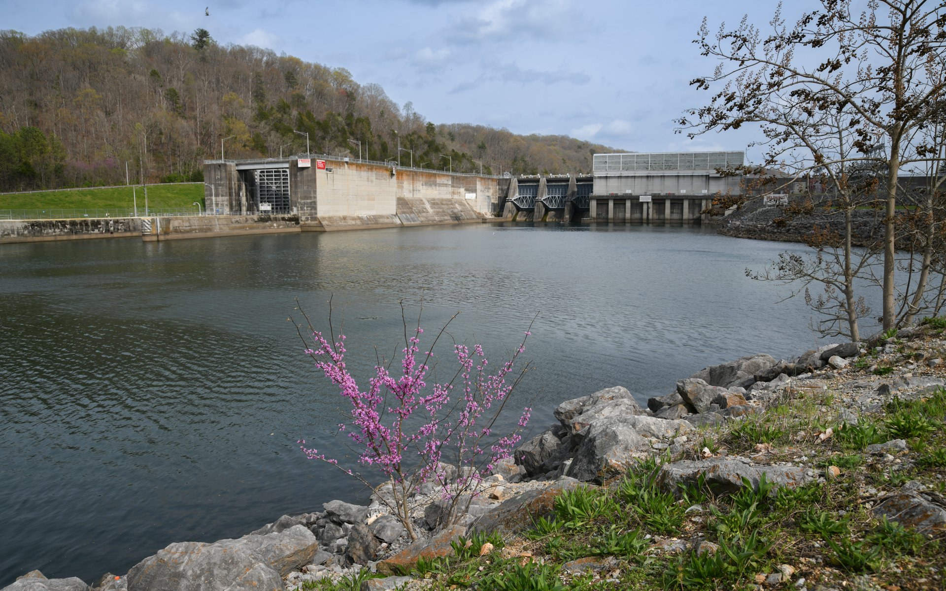 Melton Hill Lake