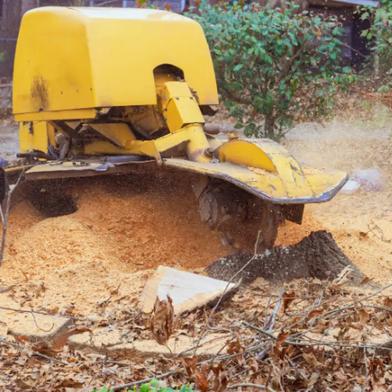 Stump Grinding