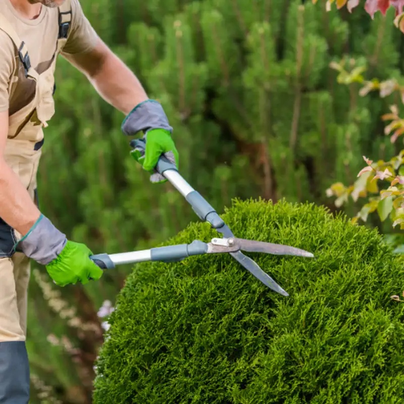 Landscaping Services