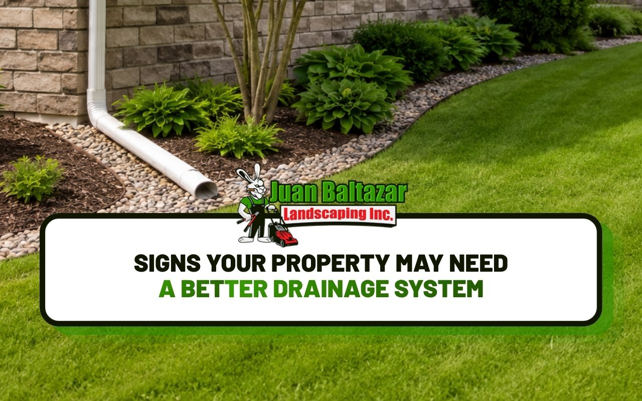 Newly installed French yard drainage solution in a residential yard