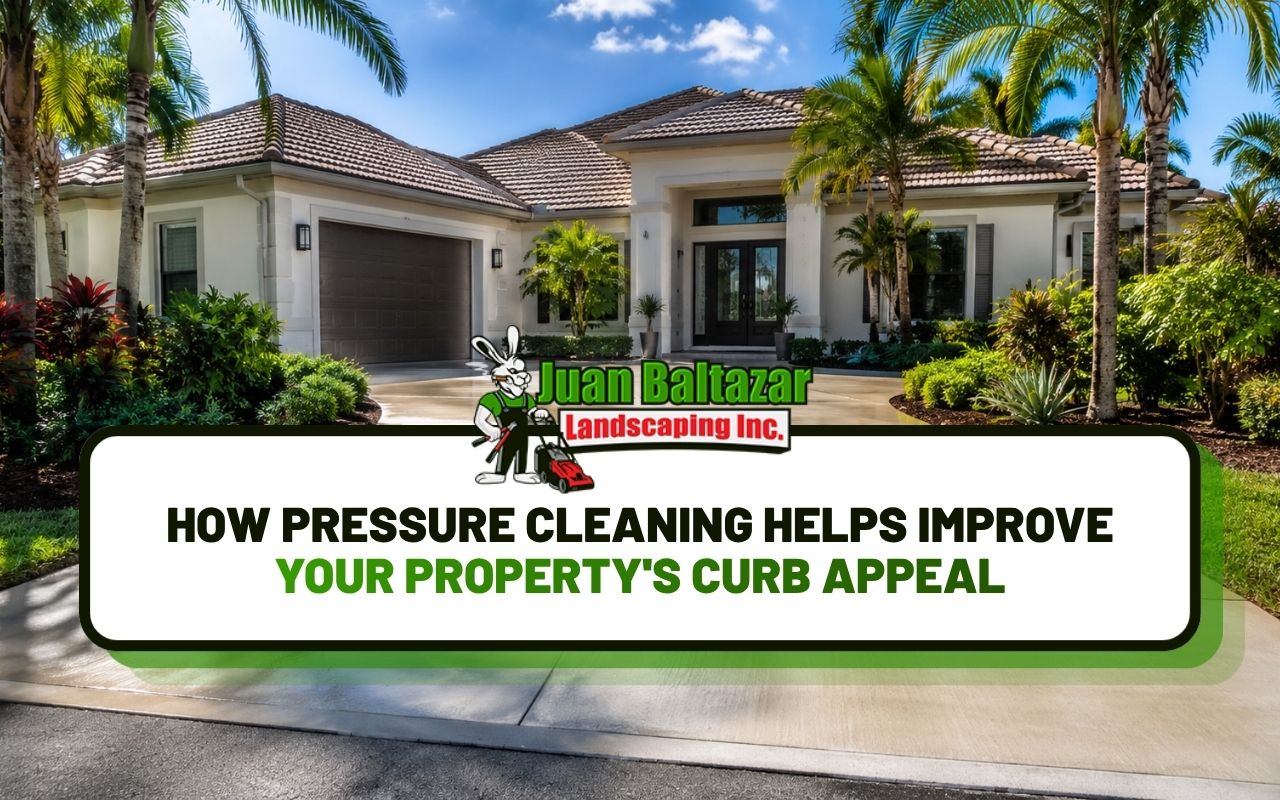 A beautifully pressure-washed concrete driveway leading to a Florida home
