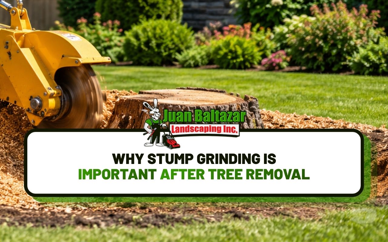 Professional stump grinding machine actively removing a tree stump in a residential yard