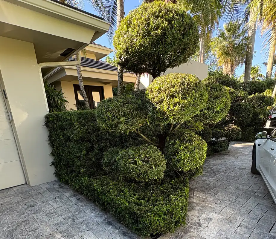 Beautiful South Florida landscaping