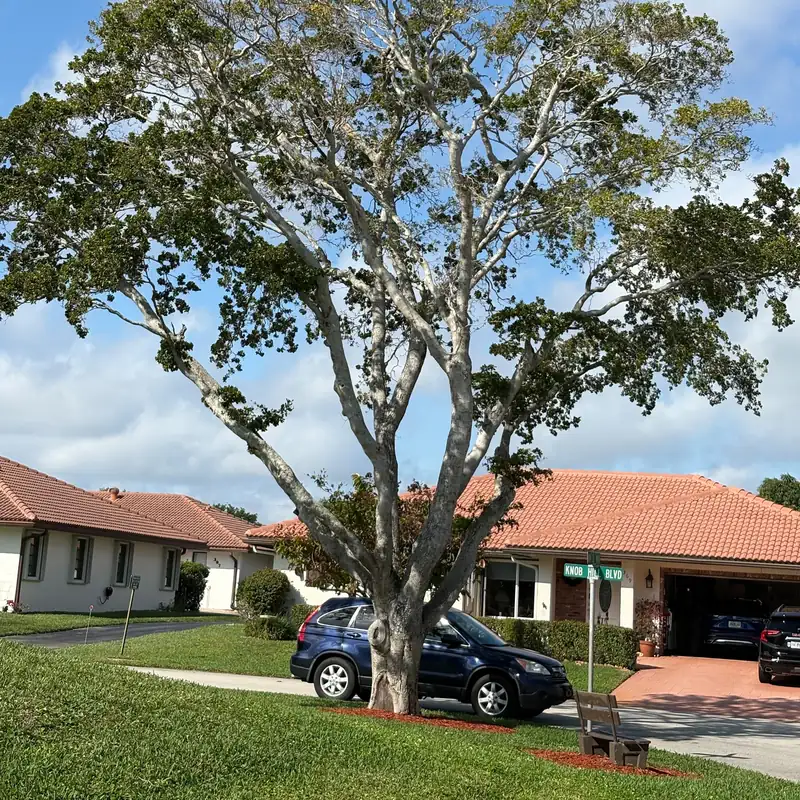 Juan Baltazar Landscaping Inc team maintaining a beautiful property