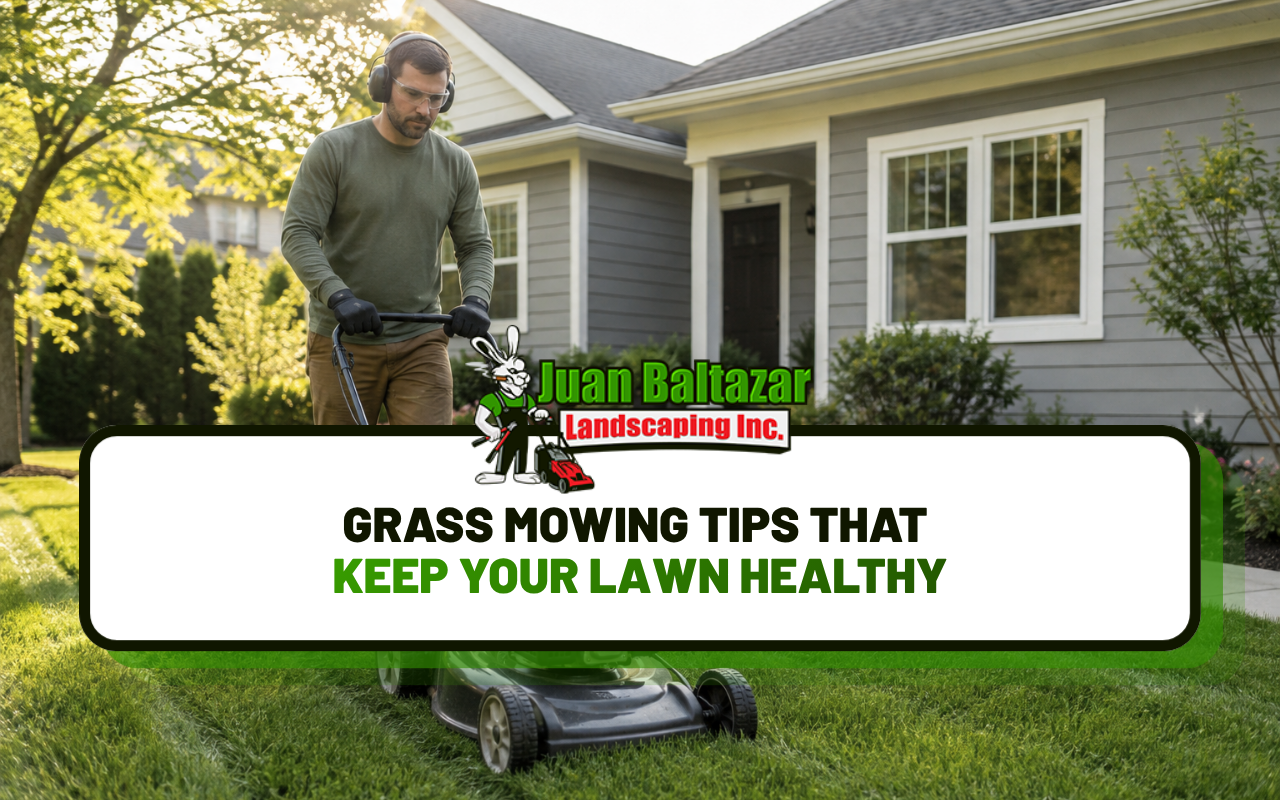 Grass mowing for a healthy and well-kept residential lawn