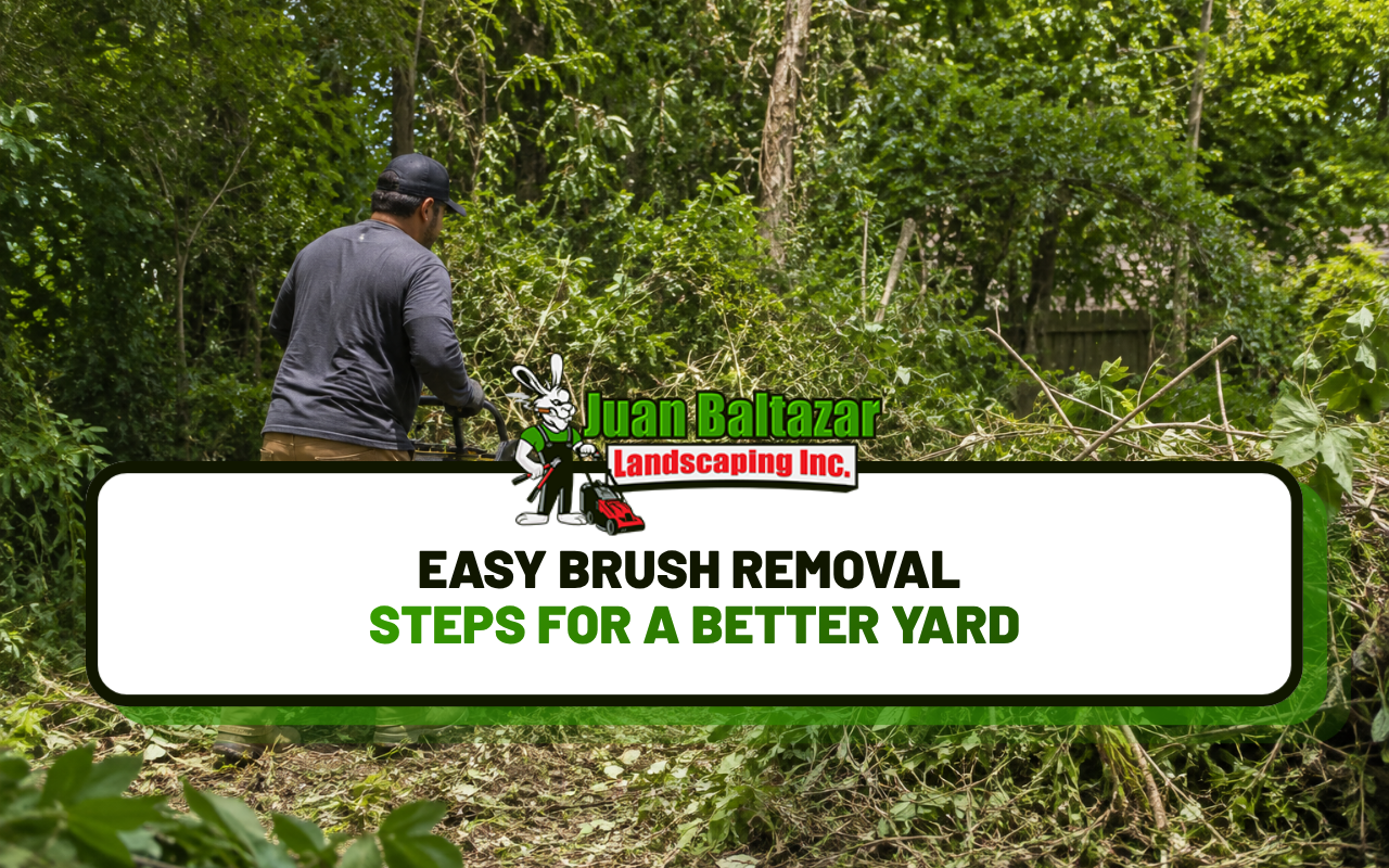 Easy Brush Removal Steps for a Better Yard