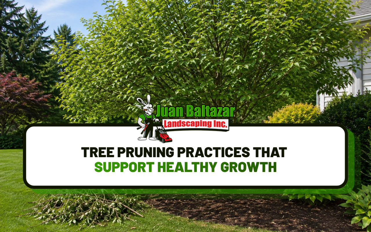 Tree Pruning Practices That Support Healthy Growth