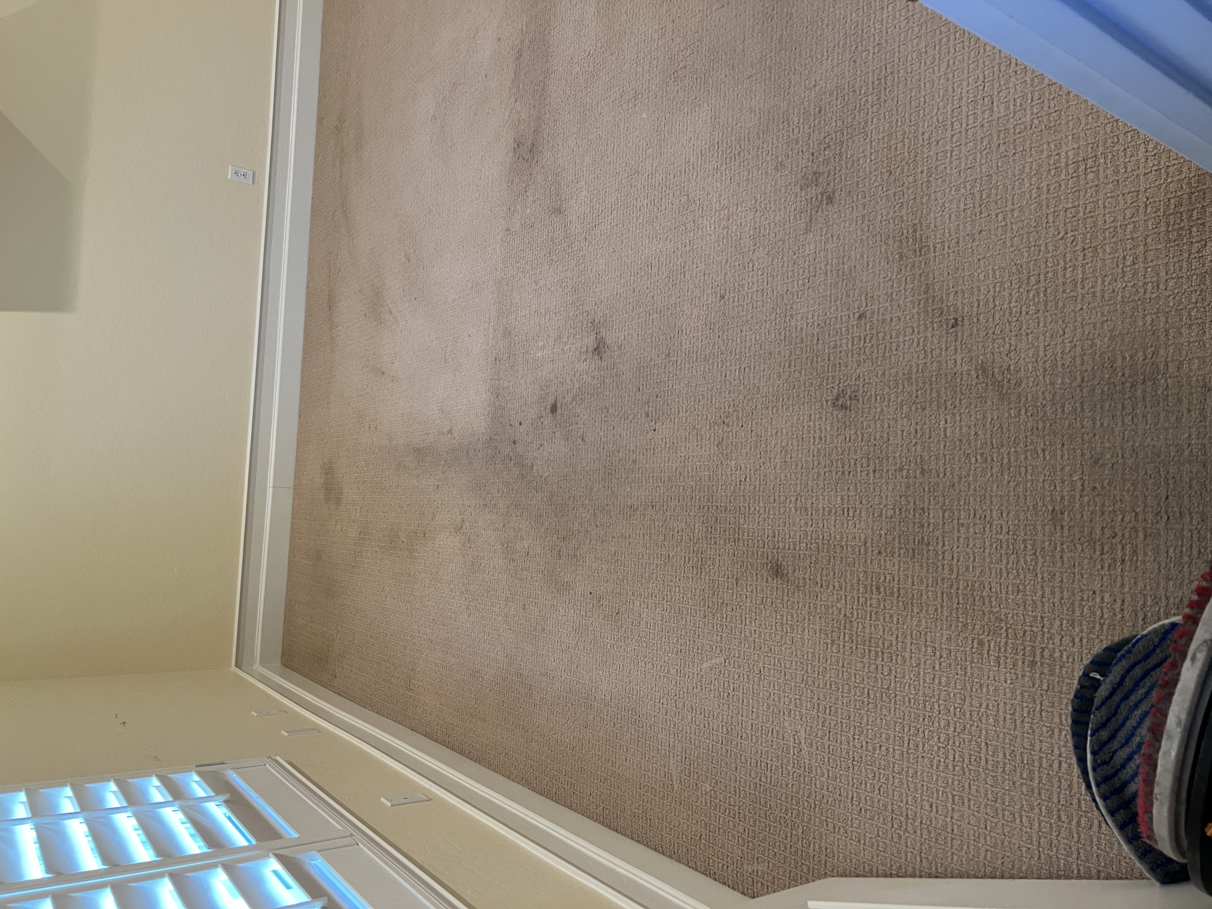 Carpet before cleaning in an East Valley home