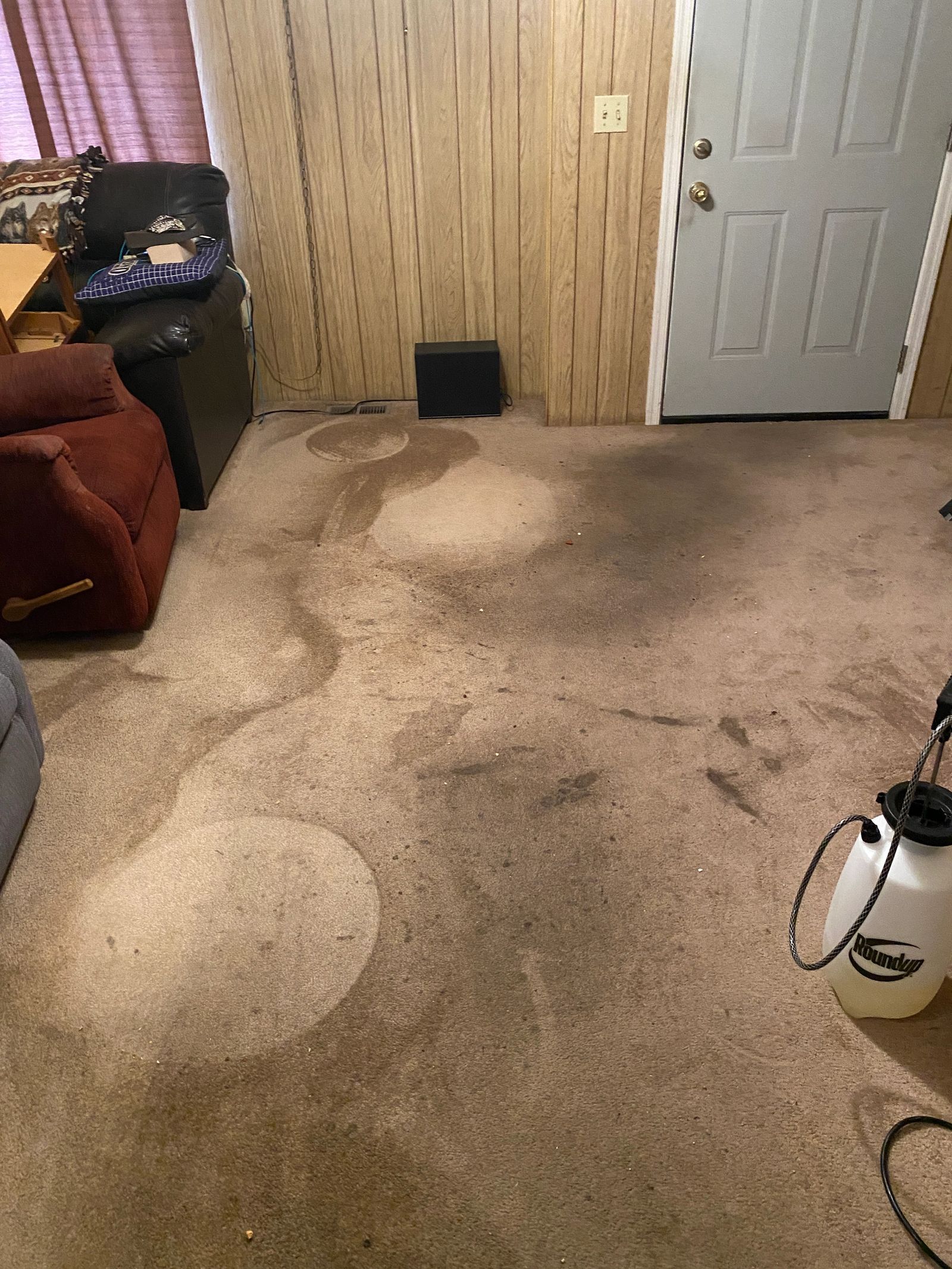Before and after cleaning photo 11