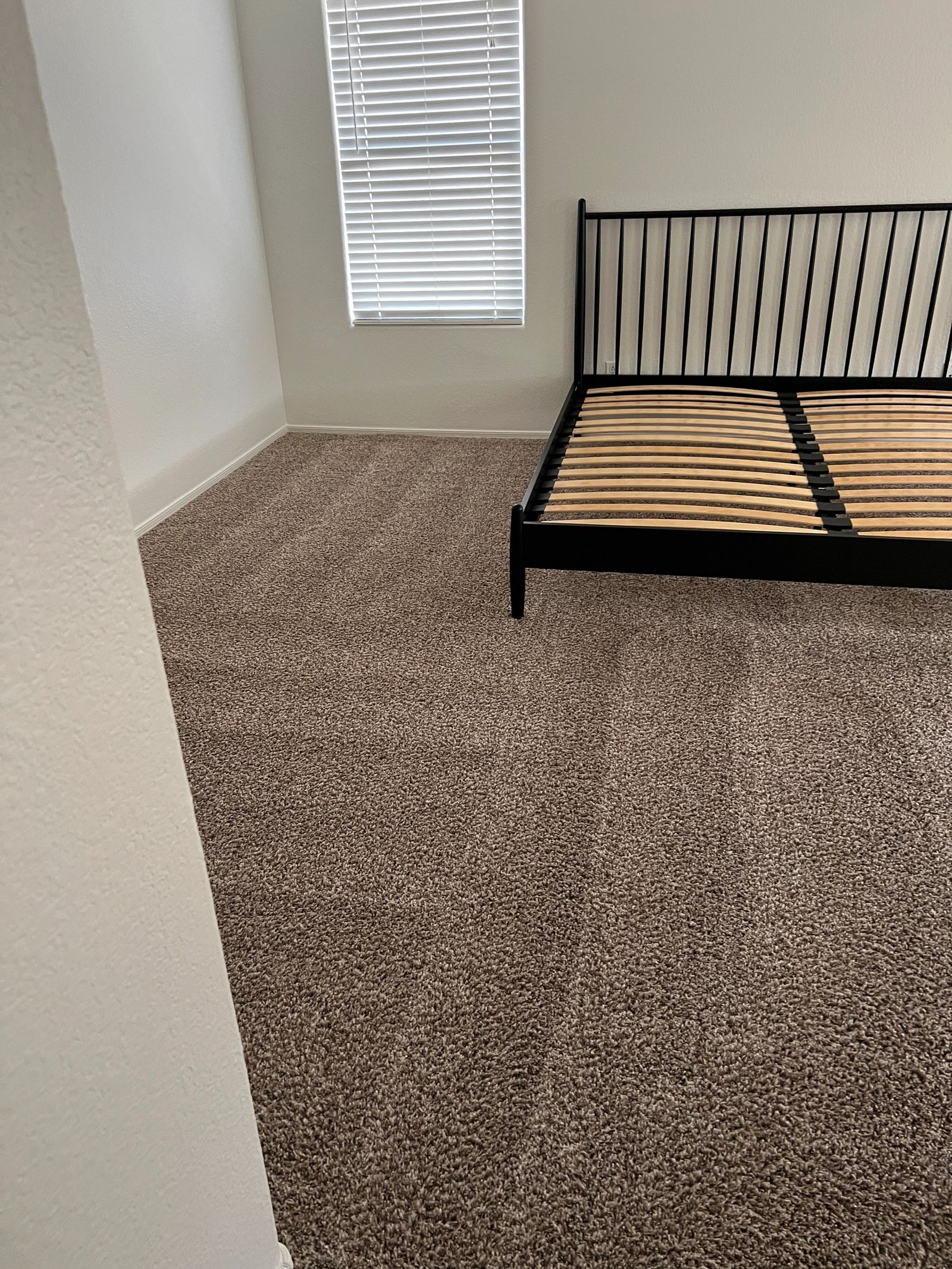 Before and after cleaning photo 15