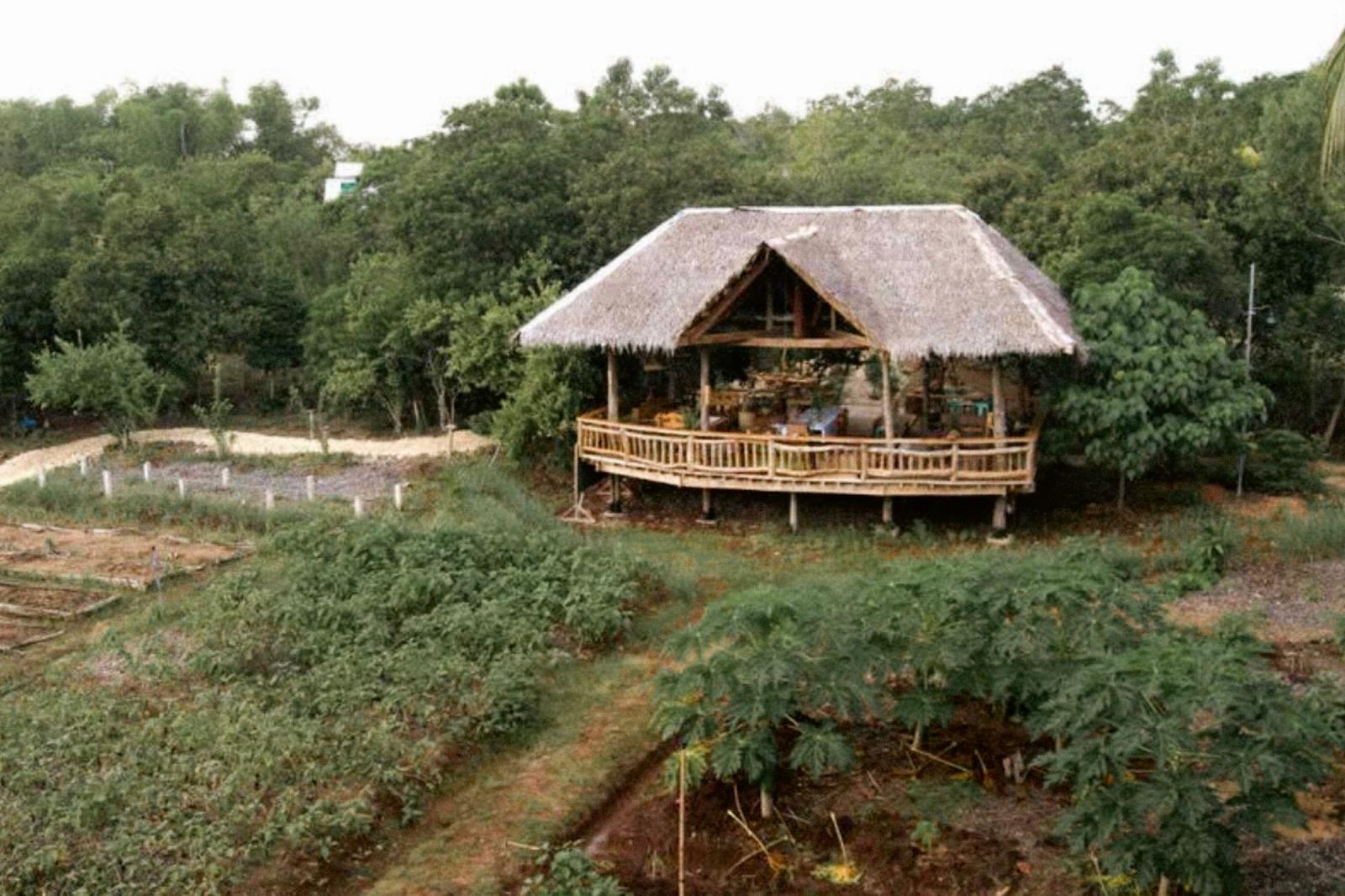 The original thatched shala at Bohol Coco Farm, seen across the vegetable gardens