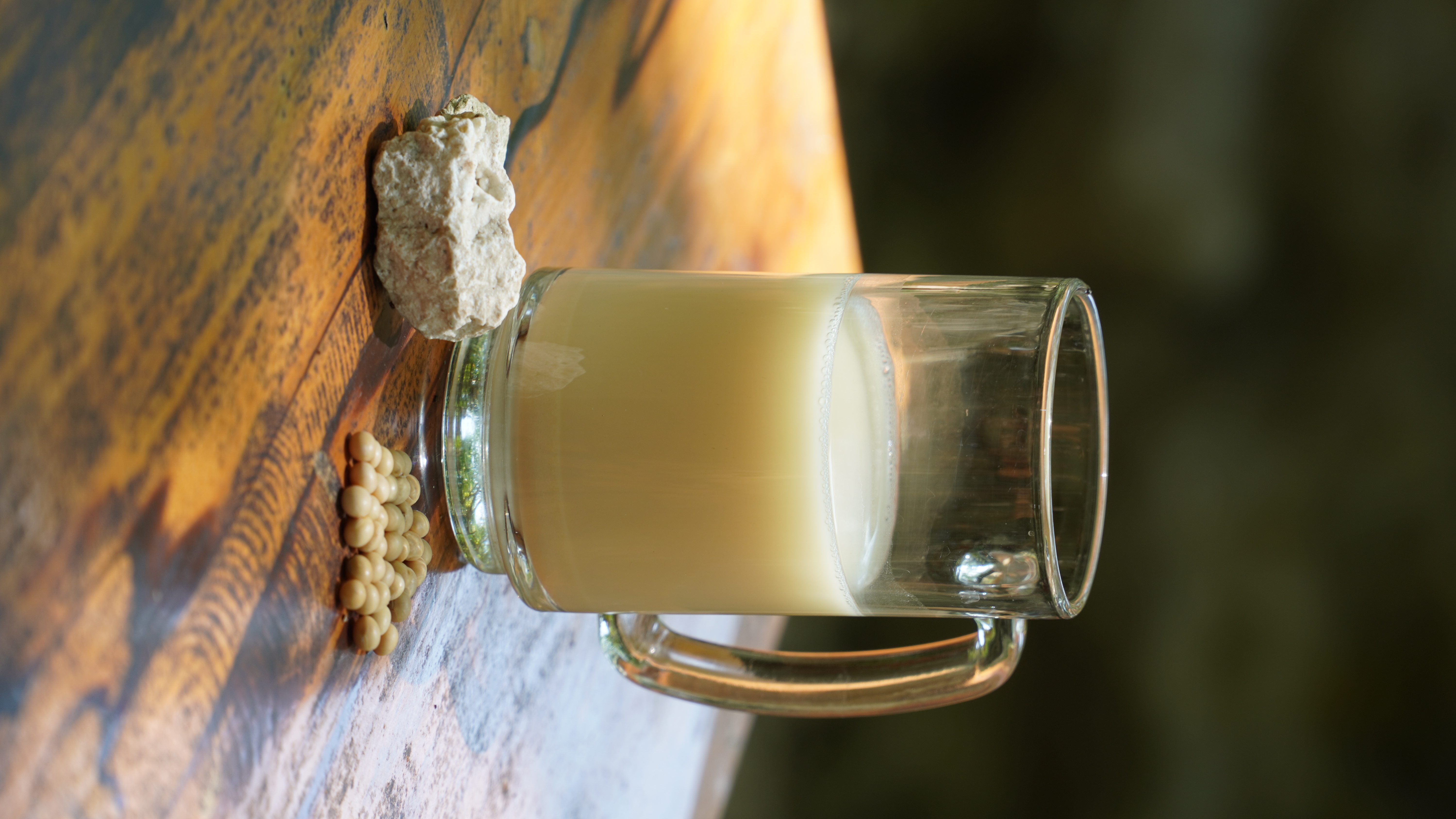 Kinaiya Soy Milk (Unsweetened)