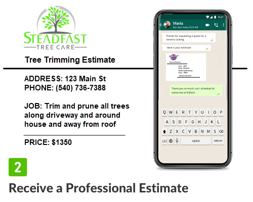 Tree Trimming Service Quote