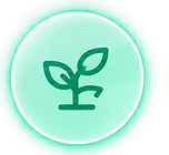 Nurture and Follow-up