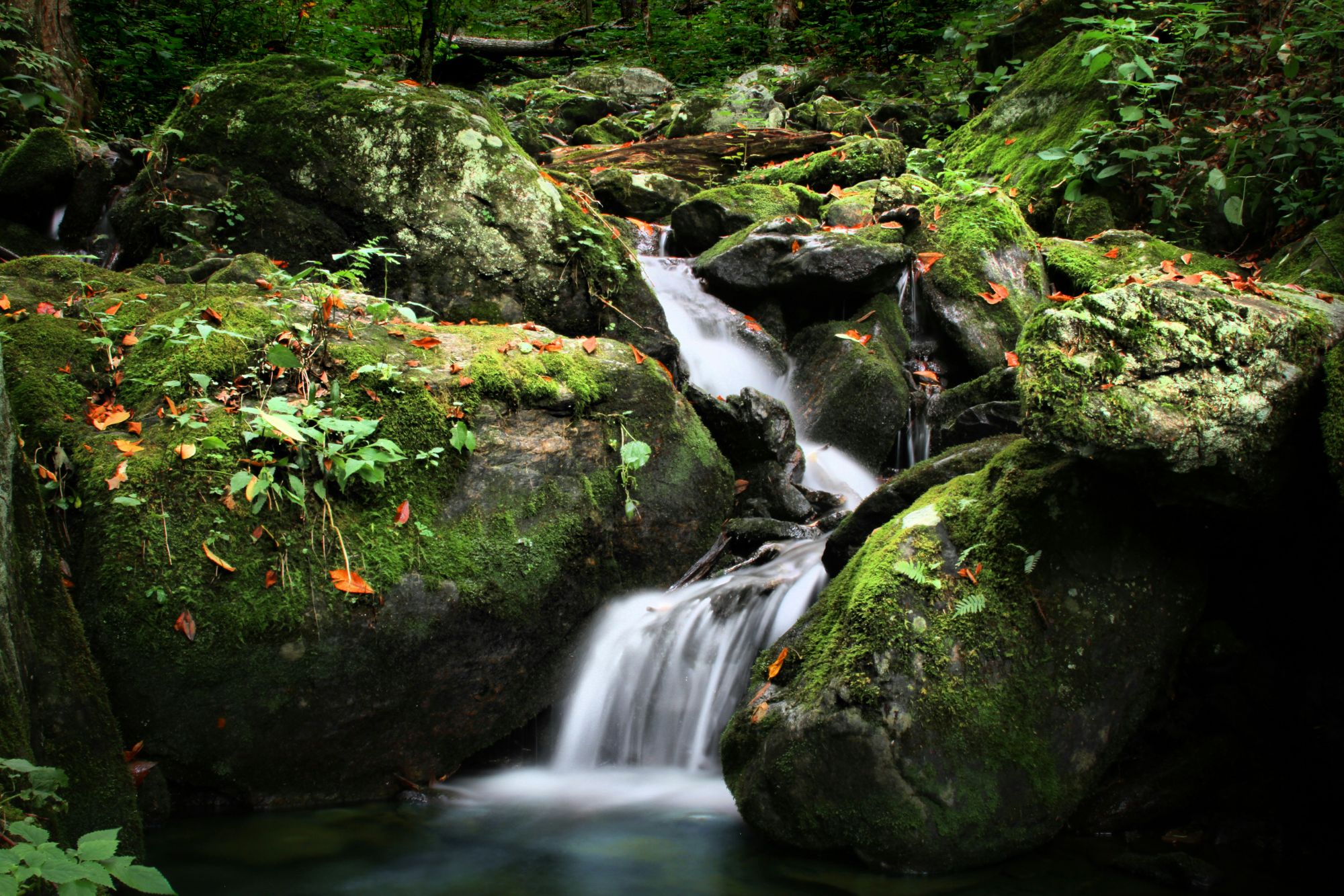 A small waterfall over mossy rocks