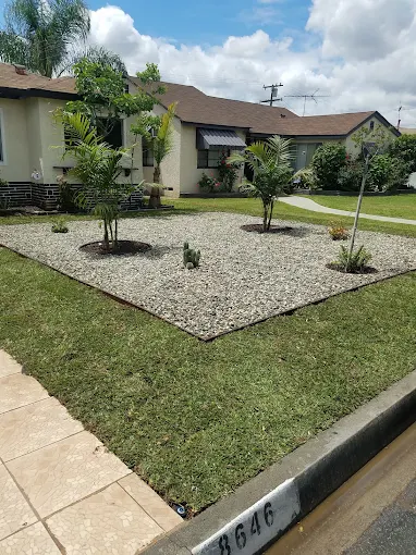 Home improvement project