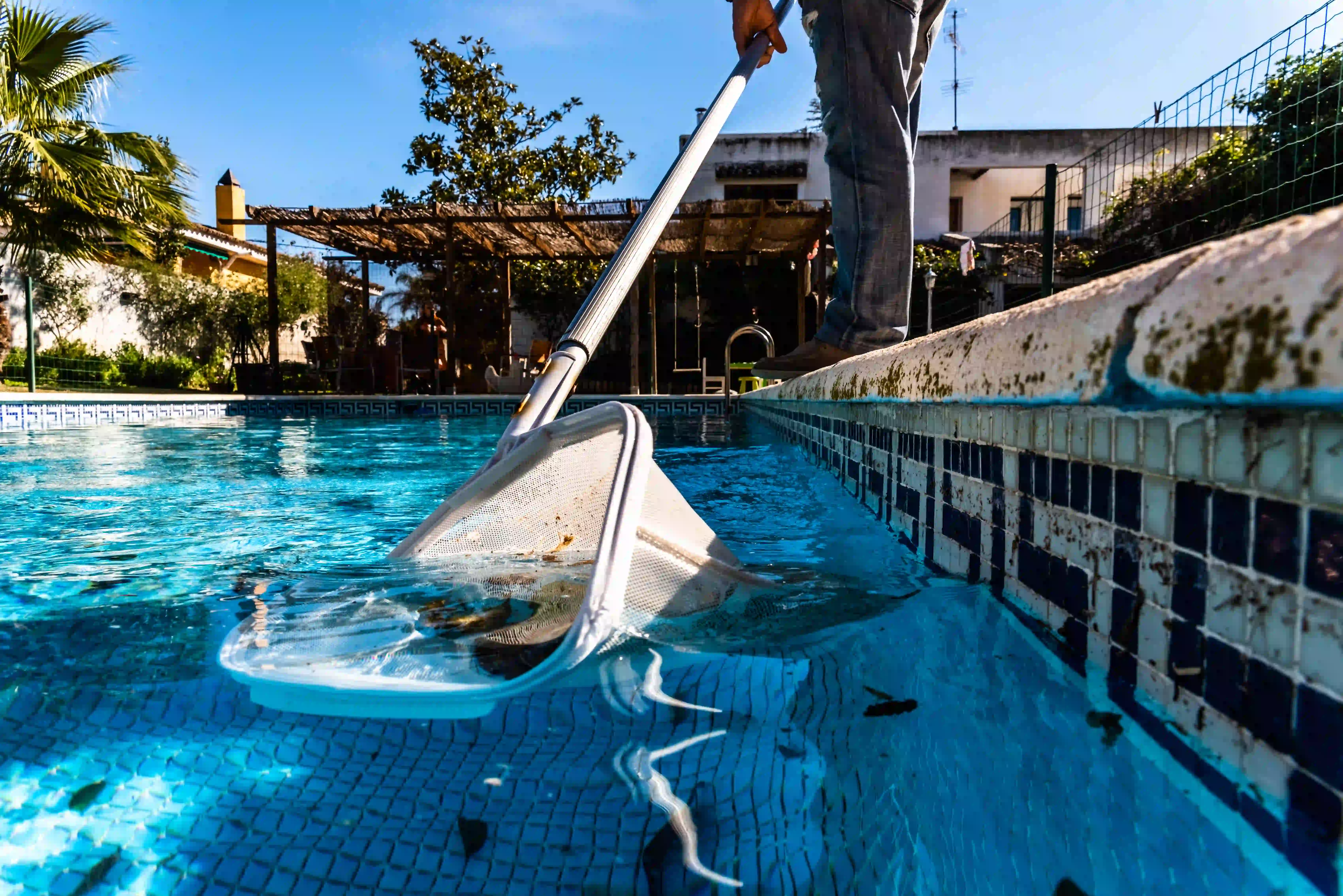 pool inspection