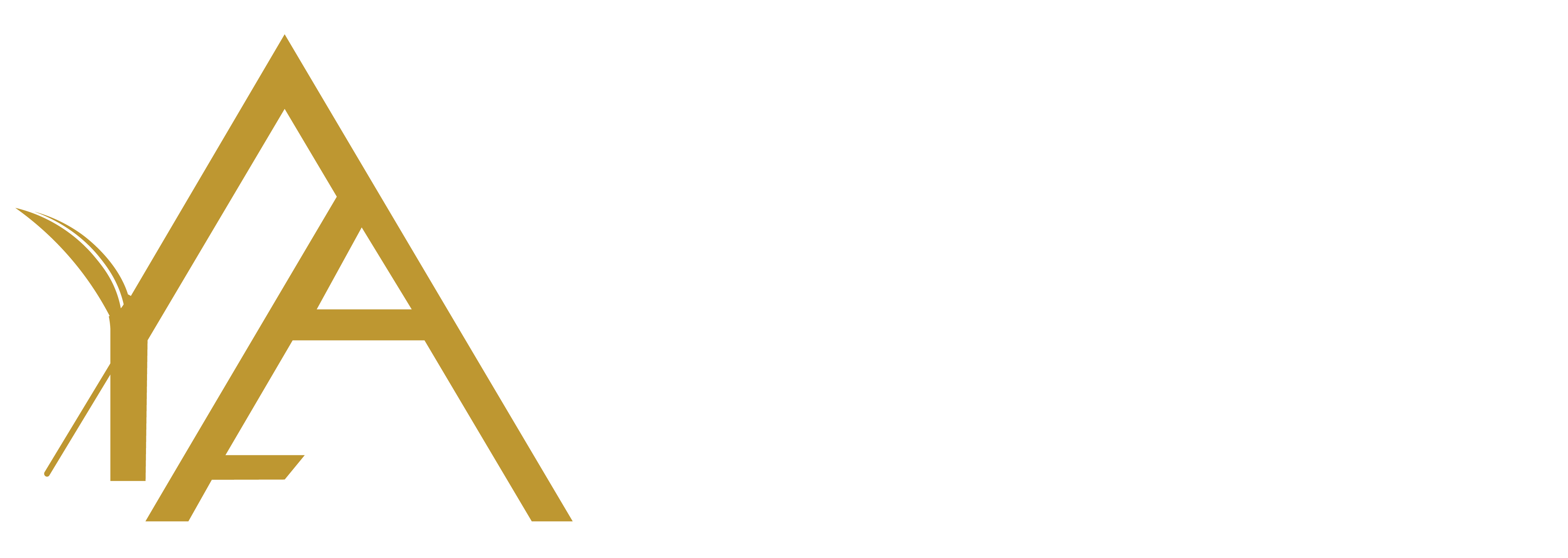 ARQENZA — Arquitectura / Marketing