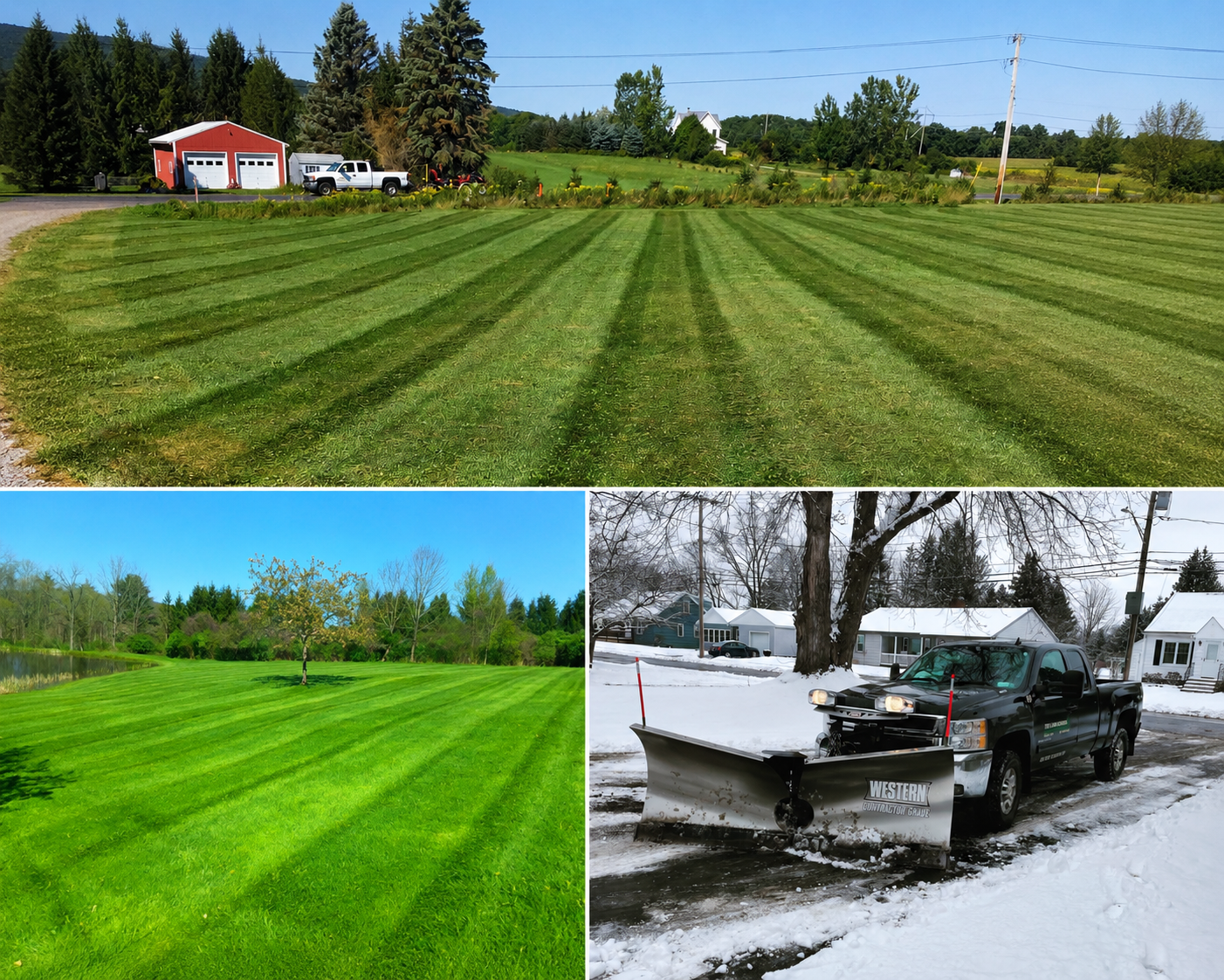 Well-maintained residential lawn with professional landscaping