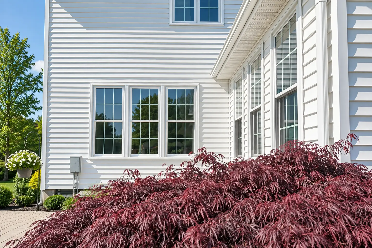 White-sided home with a row of clean double-hung windows above a red Japanese maple.