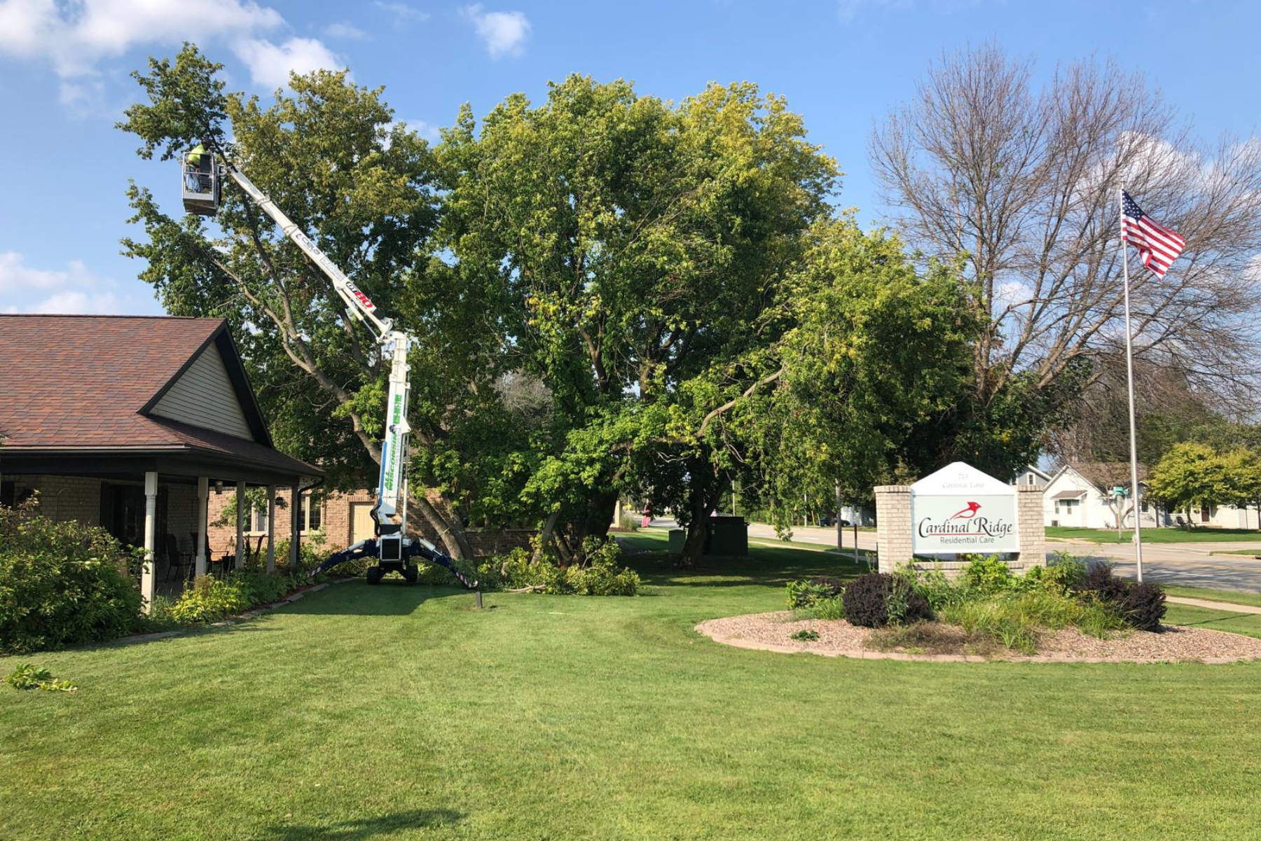 Tree Care Company in De Pere