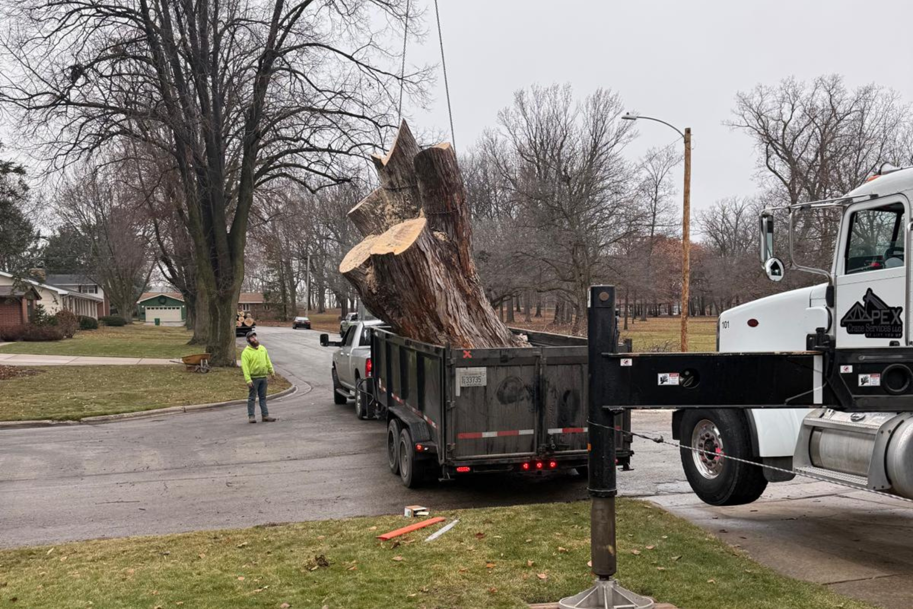 Managing Large Branches and Heavy Trunk Sections
