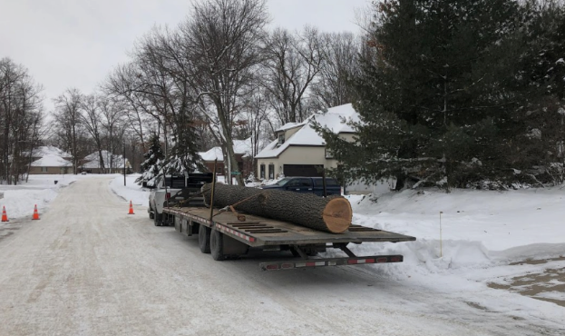 tree service green bay wi