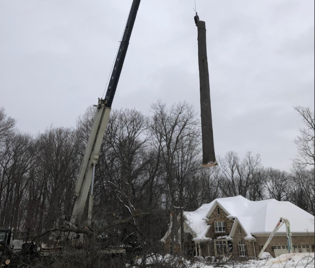 Stump Grinding Costs in Green Bay Stump Grinding Costs in Green Bay