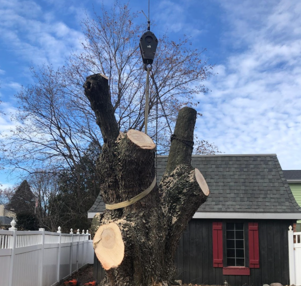 When It Might Be Full Extraction Or Partial When It Might Be Full Extraction Or Partial