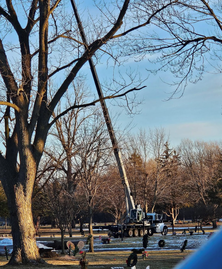 Expert Tree Care Solutions Expert Tree Care Solutions