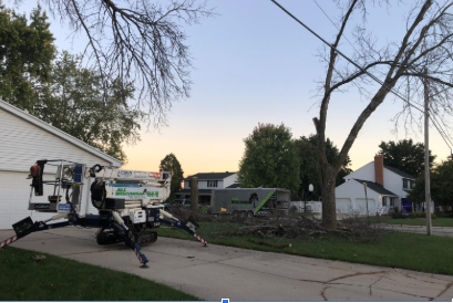 Tree Services Green Bay