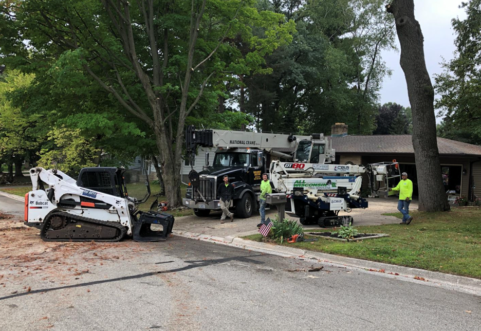 Tree Service Green Bay