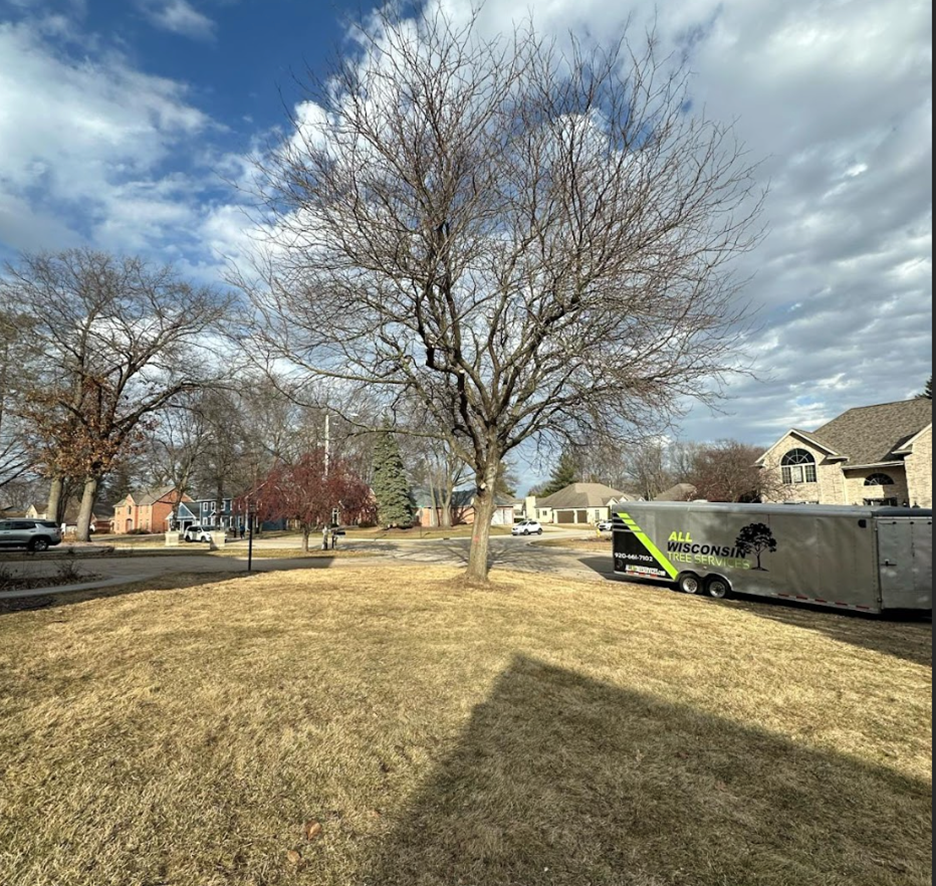 Tree Services Green Bay