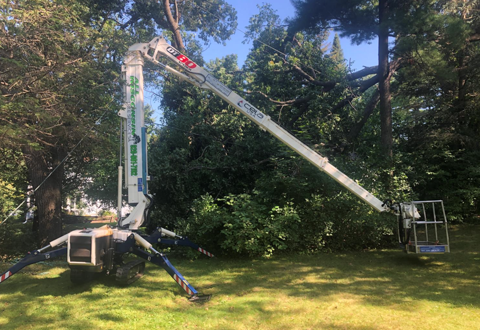 Expert Tree Trimming in Green Bay, WI