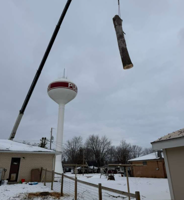 Stump Removal Green Bay Wi