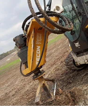 Tree Services Green Bay