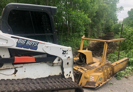 Tree Trimming Services in DePere, WI
