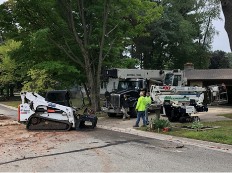 Tree Removal Services in Green Bay, WI,