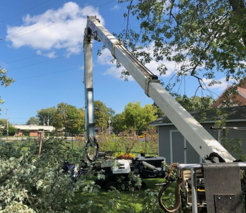 Tree Service Green Bay