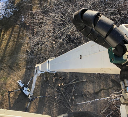 Tree Service Green Bay