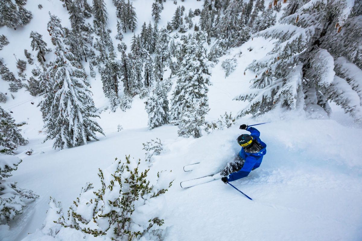 A skier in powder among frosted trees