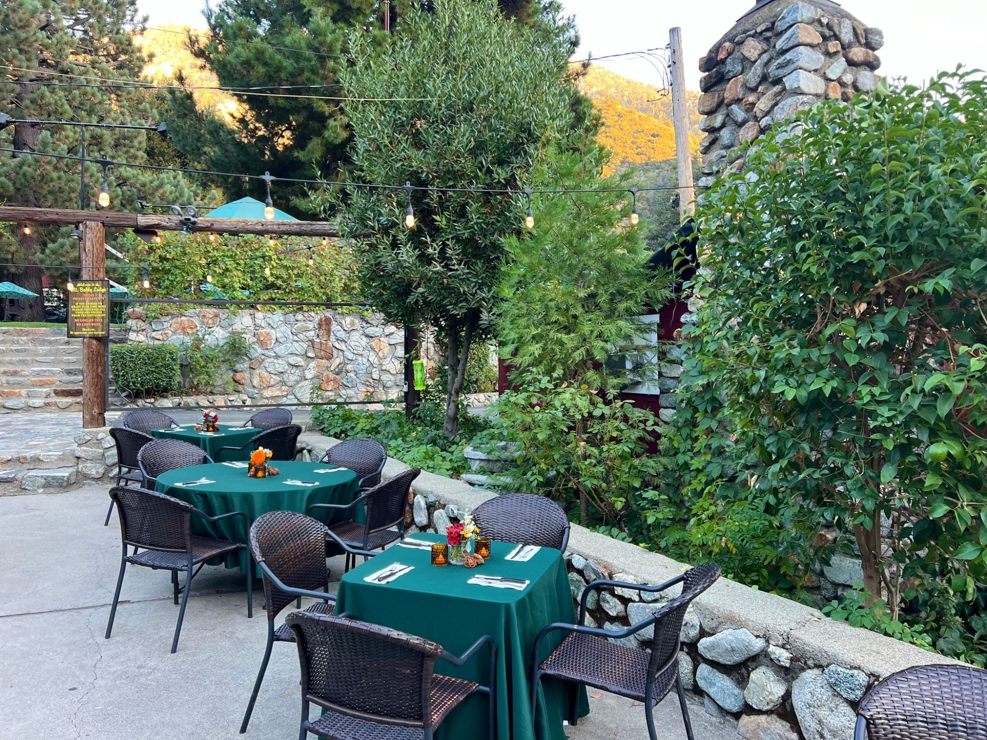 The Lodge patio and stone wall under the pines