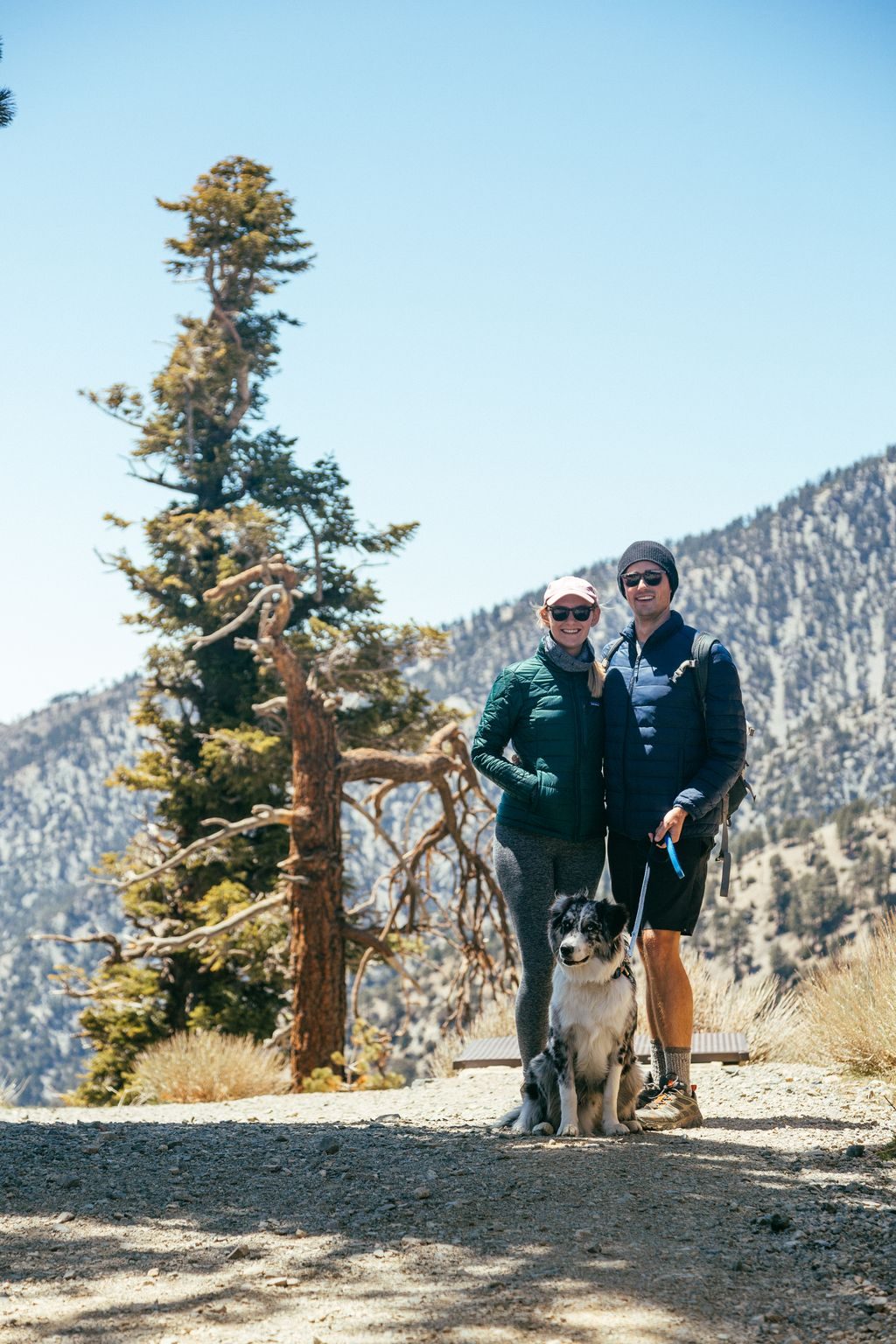 A couple and their dog on a mountain trail