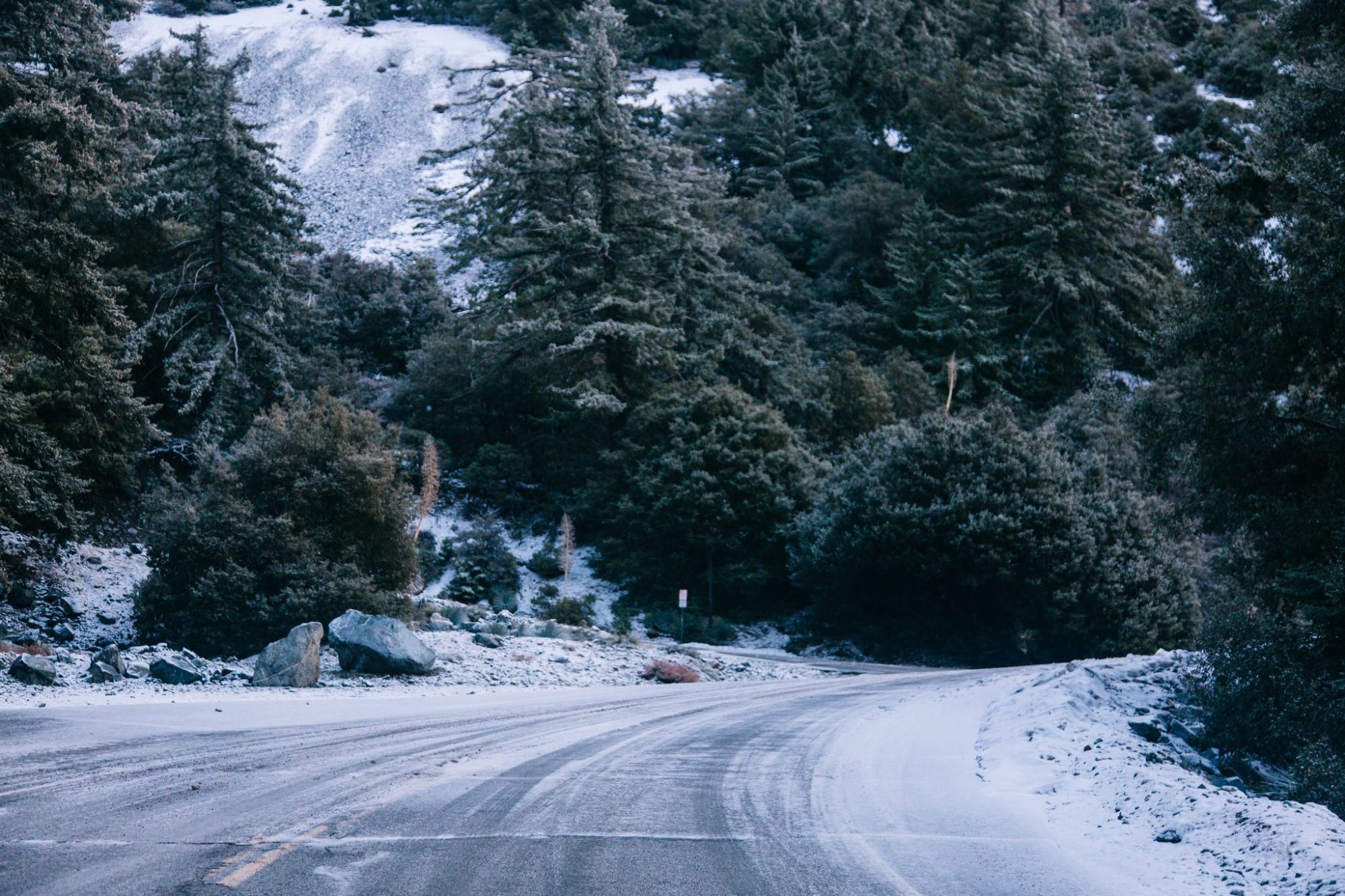 Snowy Mt Baldy Road through the pines