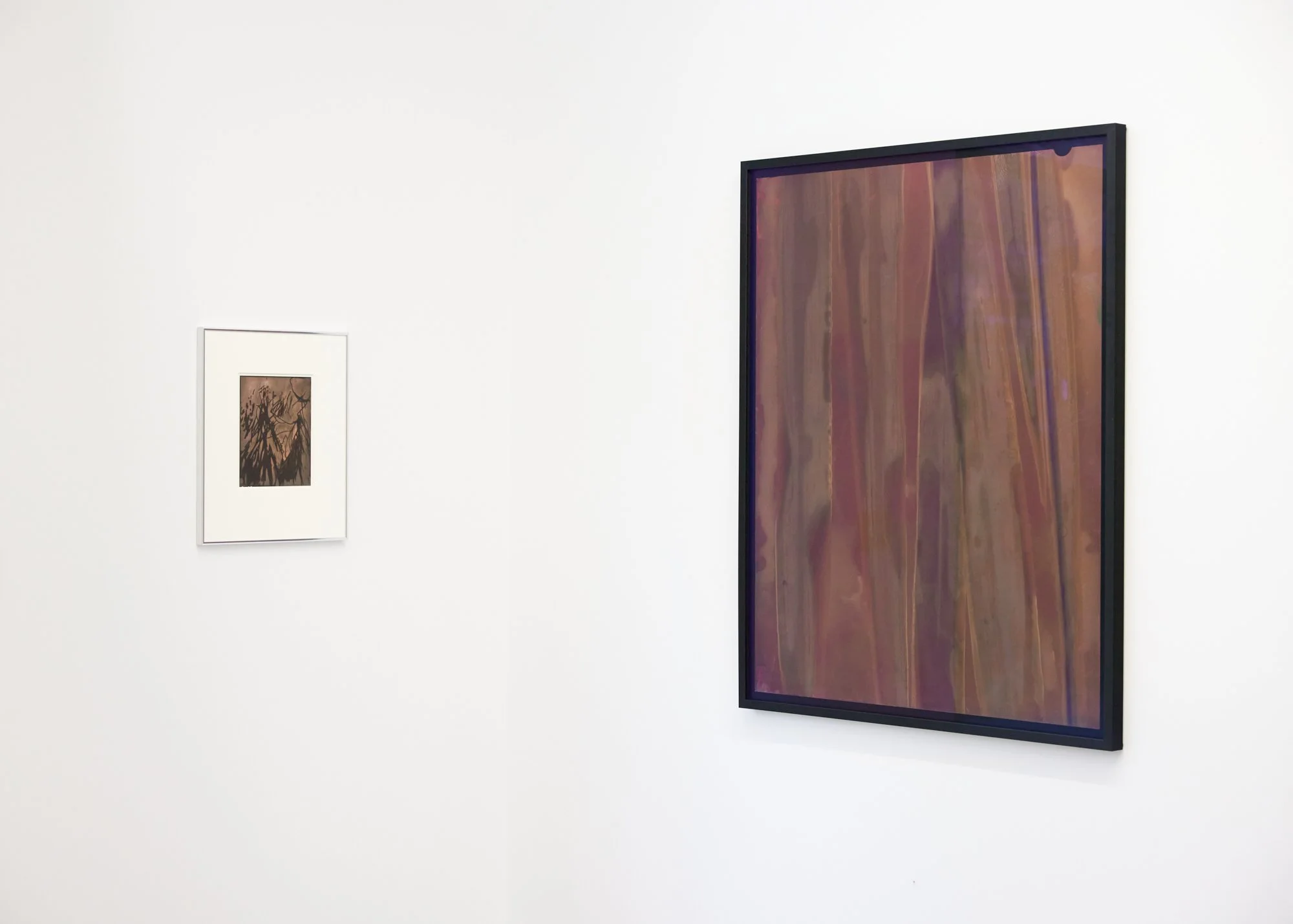 Left: Pinus Contorta (Wilding Pine), Right: Paspalum Urvillei (Vasey Grass) Positive