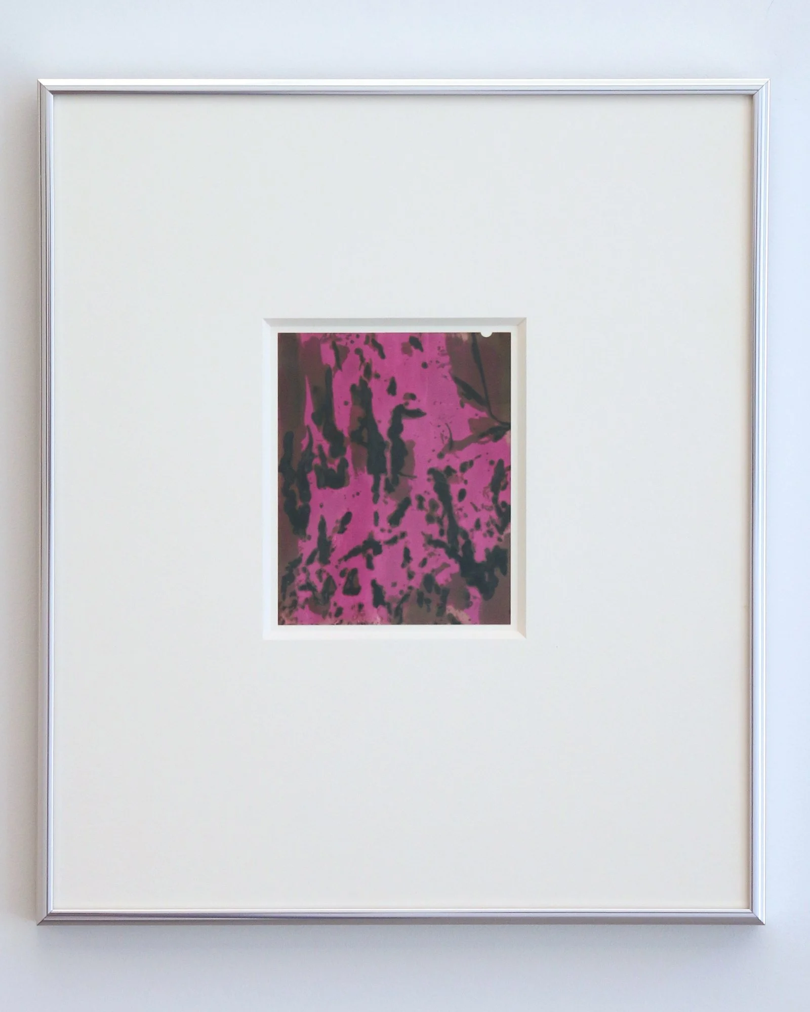 Poa Annua (Annual Winter Grass)