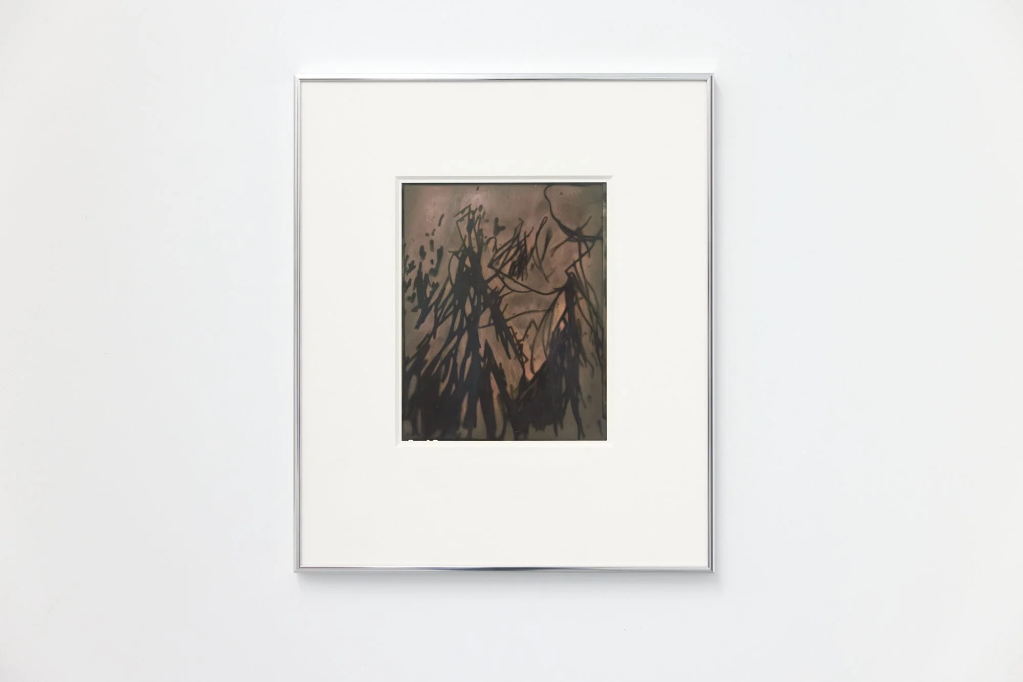 Nassella Tenuissima (Fine Stemmed Needlegrass) Negative