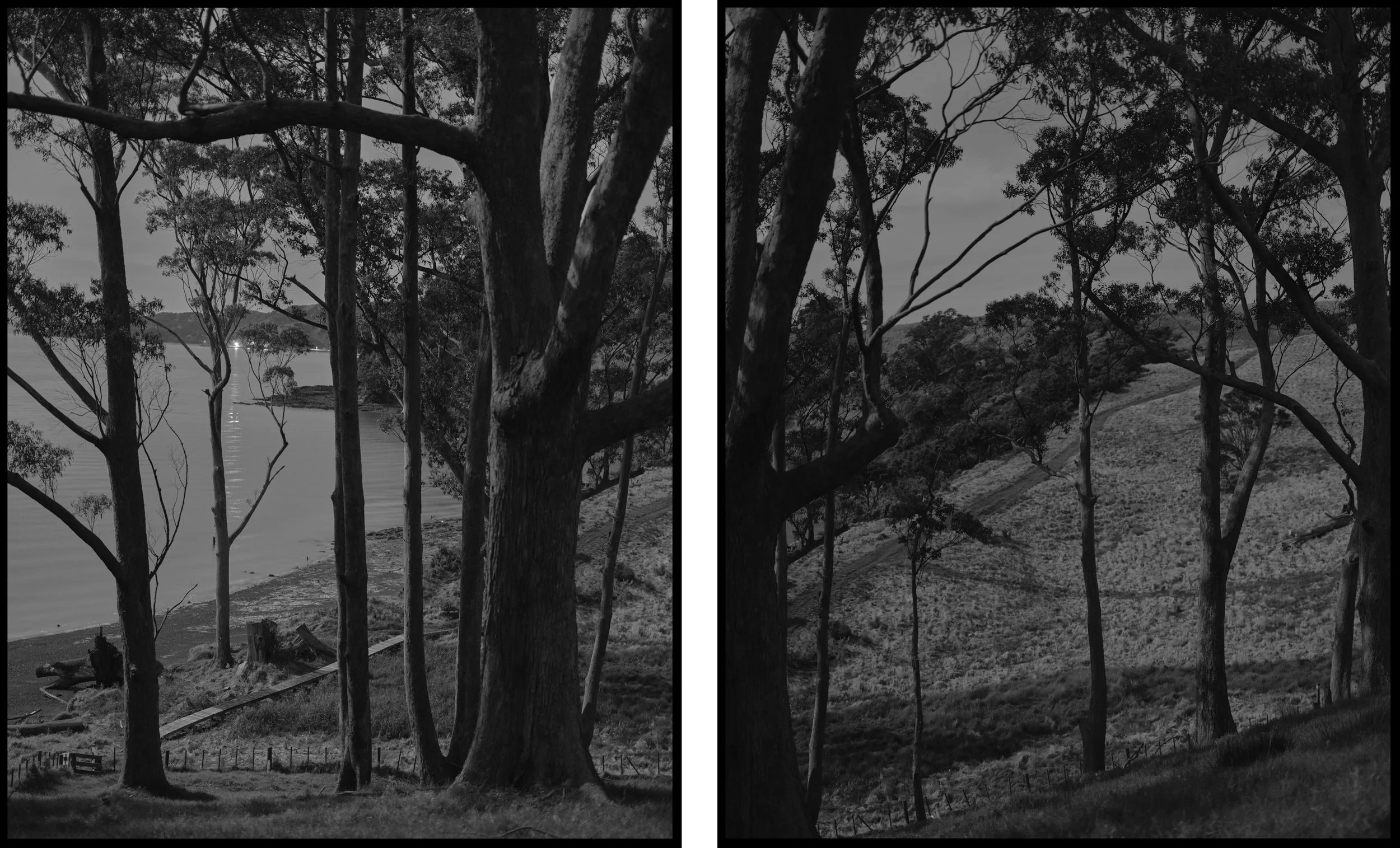 Waitawa Bay Looking South East