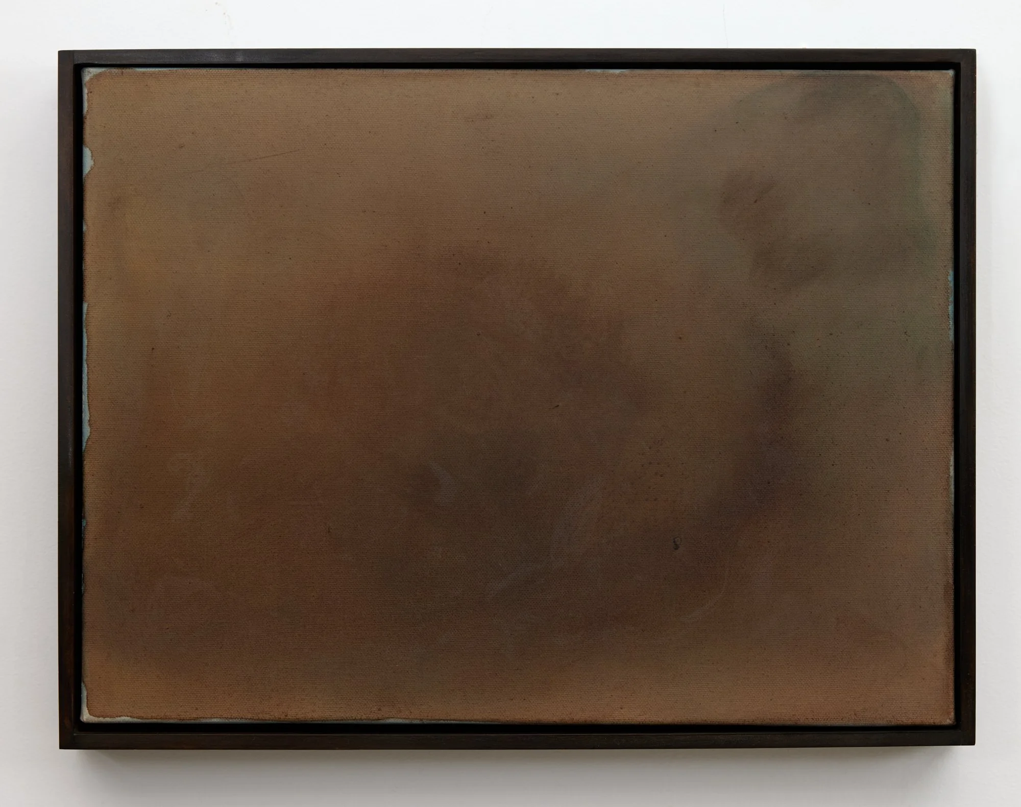 Nature Writing (Waipā) IV